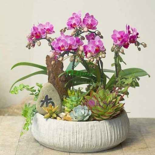 Mẫu hồ điệp mini nghệ thuật