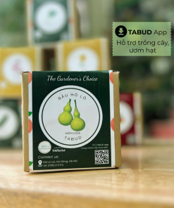 hộp quà hạt giống bầu hồ lô TABUD