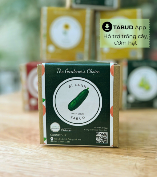 hộp quà hạt giống bí xanh TABUD