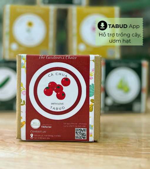 hộp quà hạt giống cà chua TABUD