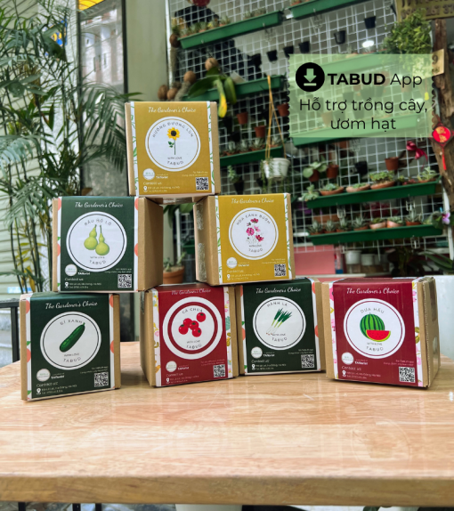 set hộp quà hạt giống TABUD
