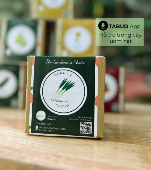 hộp quà hạt giống hành lá TABUD