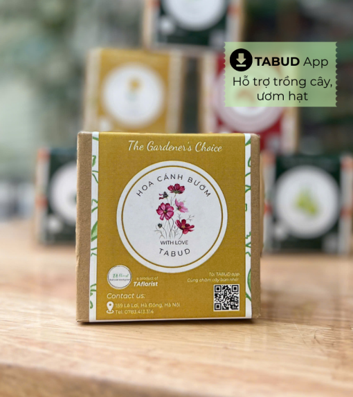 hộp quà hạt giống hoa cánh bướm TABUD