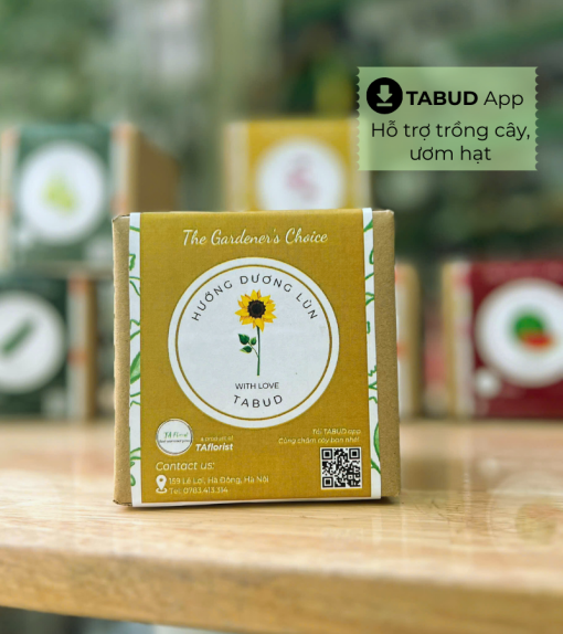 hộp quà hạt giống hoa hướng dương TABUD