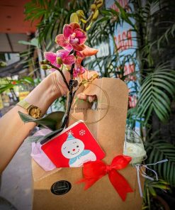 Hộp quà takeaway lan hồ điệp ORC001