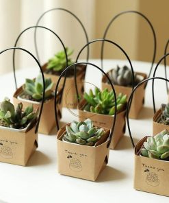 Túi sen đá bầu có quai xách SCL001