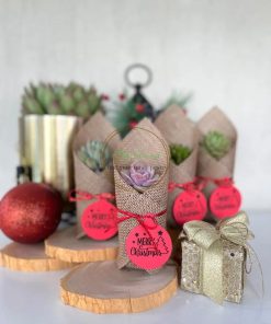 set quà sen đá bầu bọc vải bố set quà sen đá bầu bọc giấy kaft SCL010