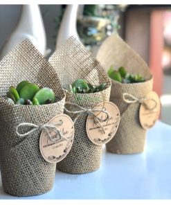 set sen đá quà tặng cốc thủy tinh SCL011