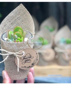 set sen đá quà tặng cốc thủy tinh