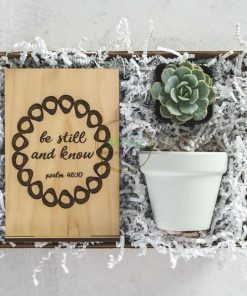 set quà sen đá và sách SCL018
