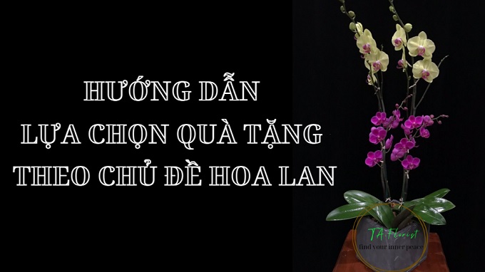 ý nghĩa hoa lan hồ điệp