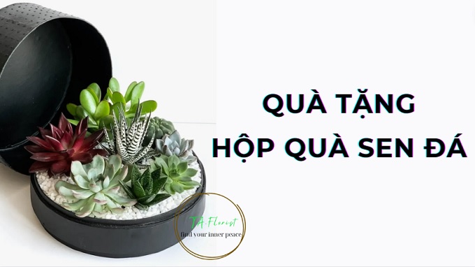 hộp quà tặng tiểu cảnh