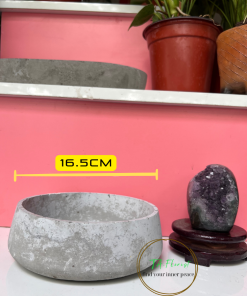 chậu xi măng dáng tròn phong cách industrial để mix tiểu cảnh