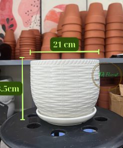 chậu sứ trắng trơn