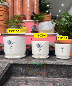 chậu sứ hoa văn kèm đĩa lót
