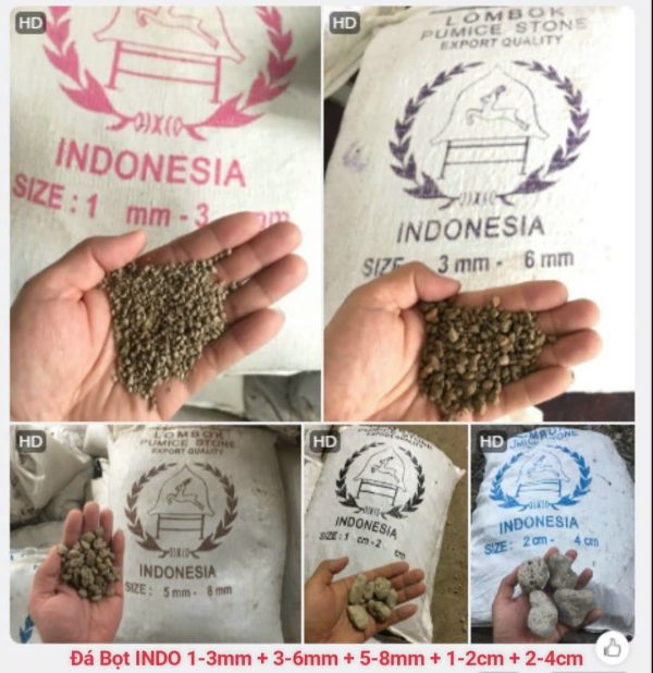 Đá Pumice - Đá Bọt Indonesia