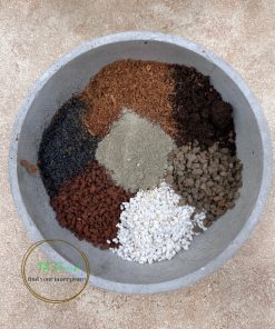 Đất trồng Sen Đá Xương Rồng CAO CẤP TAMIX