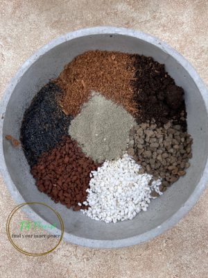 Đất trồng Sen Đá Xương Rồng CAO CẤP TAMIX
