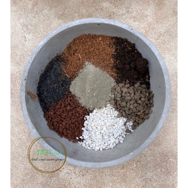 Đất trồng Sen Đá Xương Rồng CAO CẤP TAMIX