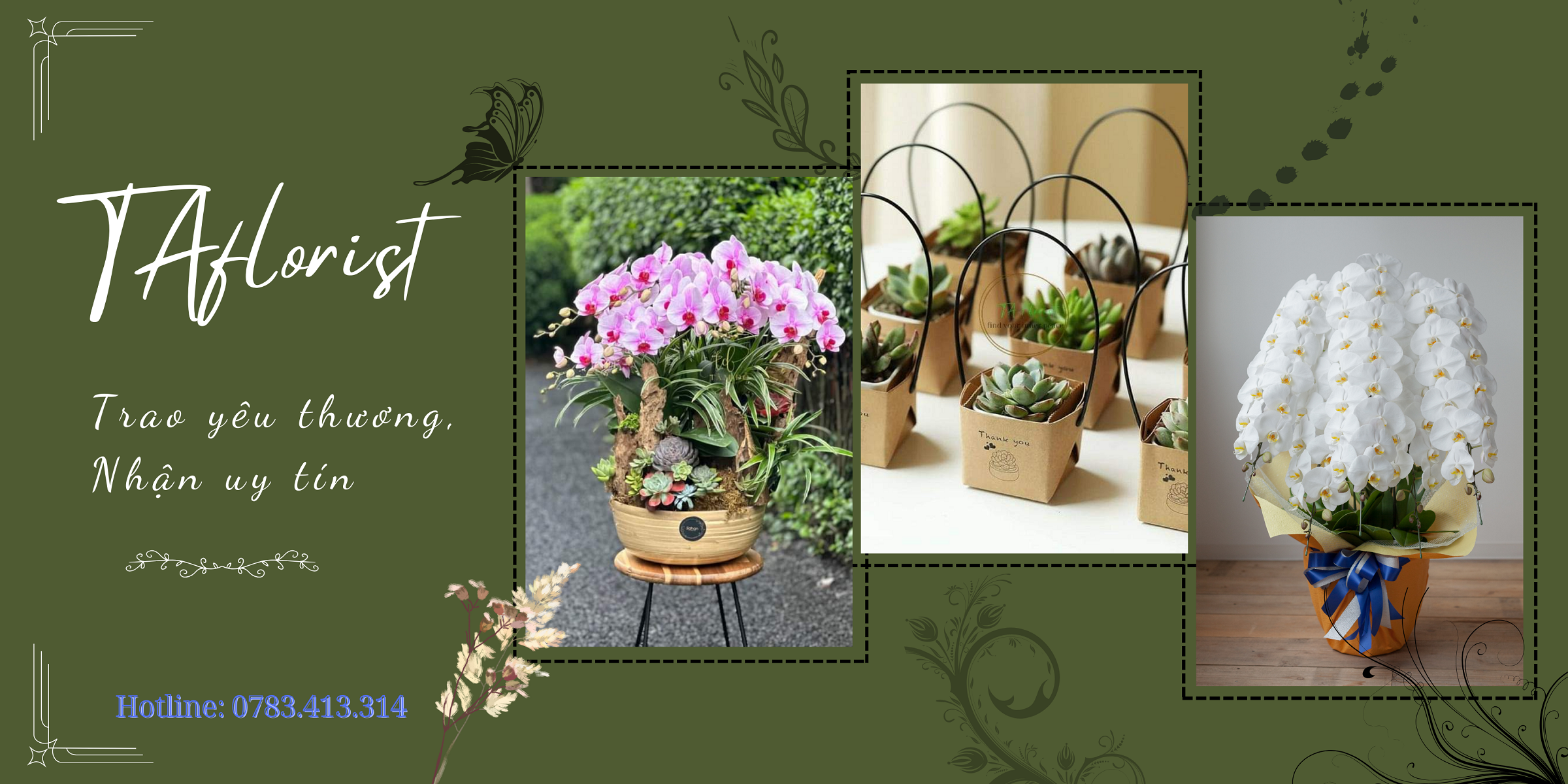 banner hoa lan sen đá TAflorist