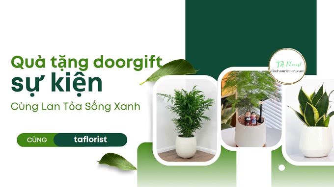 set quà cây xanh chất lượng