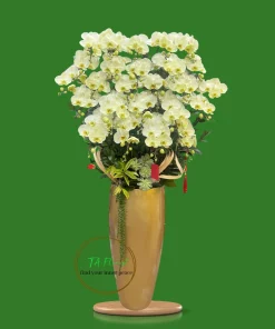 Mẫu Bình lan hồ điệp xanh táo cao cấp tại Hà Nội