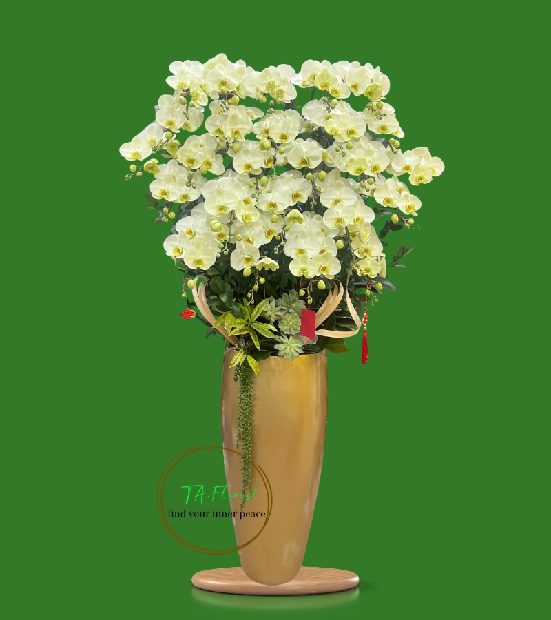 Mẫu Bình lan hồ điệp xanh táo cao cấp tại Hà Nội Mẫu Bình lan hồ điệp xanh táo cao cấp tại Hà Nội