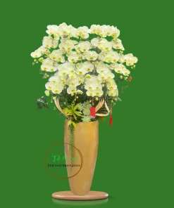 Bình lan hồ điệp xanh táo cao cấp tại Hà Nội