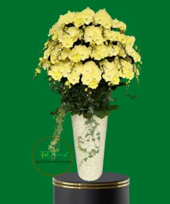 Mẫu Lan Hồ Điệp Cao Cấp Giá Tốt tại Hà Nội TAF060