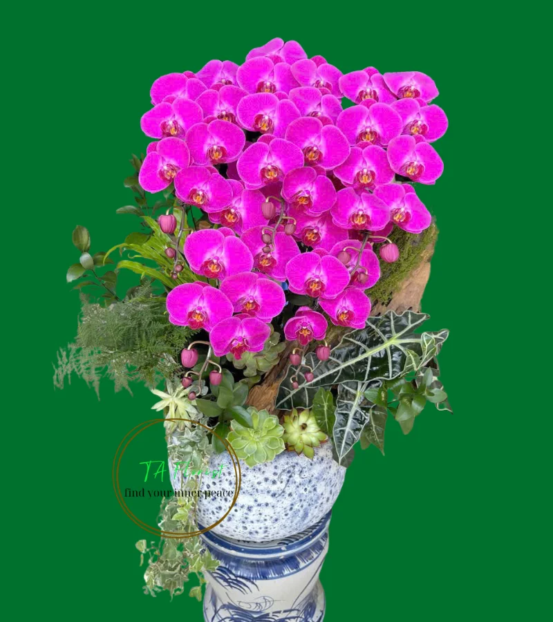 mau-2-chau-hoa-lan-hong-cao-cap-hanoi-taflorist