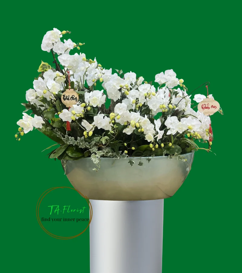 thuyền lan hồ điệp sang trọng thuyền lan hồ điệp sang trọng