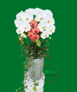 Mẫu Lan 2 - 3triệu Hà Nội Tươi Mới TAF112