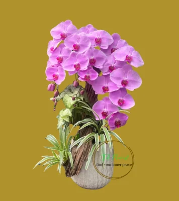 chậu lan hồ điệp hồng công chúa 3 cành