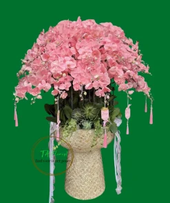 chậu lan hồ điệp chậu khảm trai kèm đôn cao cấp