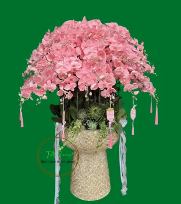 chậu lan hồ điệp chậu khảm trai kèm đôn cao cấp