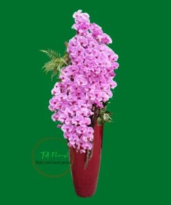 bình lan hồ điệp cao cấp sáng bóng trên bình composite