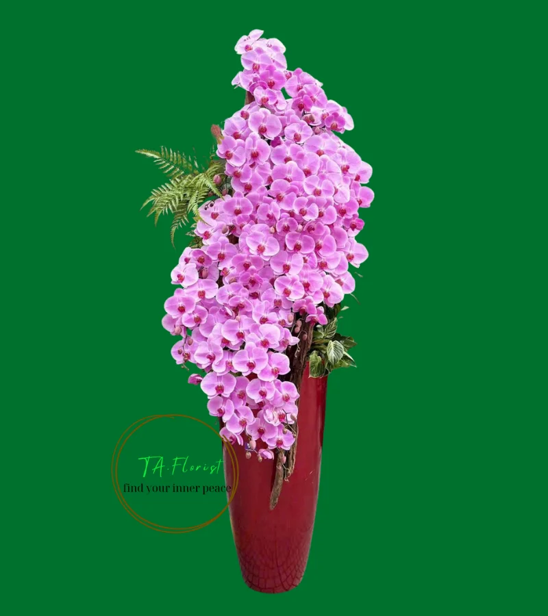 bình lan hồ điệp cao cấp sáng bóng trên bình composite bình lan hồ điệp cao cấp sáng bóng trên bình composite