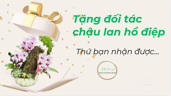 Tặng đối tác chậu lan hồ điệp: Thứ bạn nhận lại là niềm tin yêu