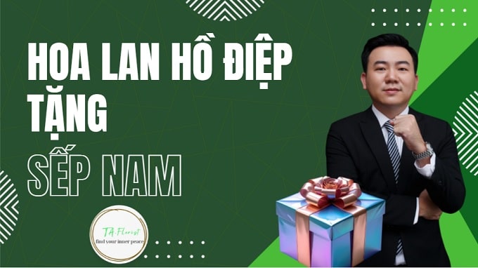 hoa lan hồ điệp tặng sếp nam