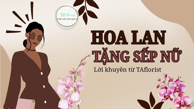 Tặng hoa lan sếp nữ